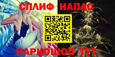 MDMA Гай