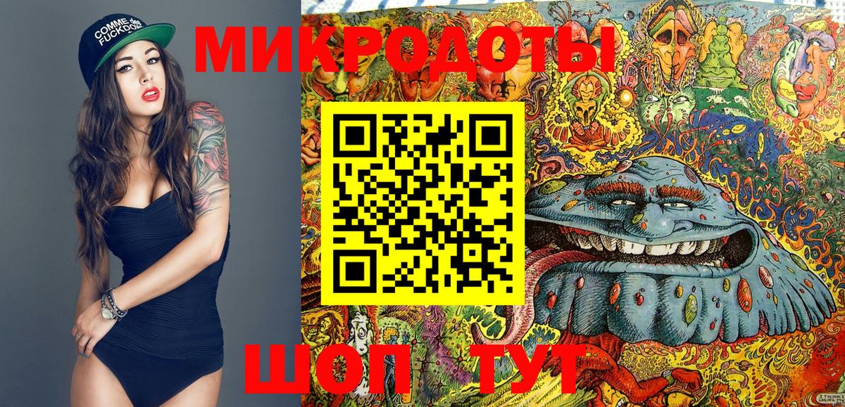 Псилоцибиновые грибы Psilocybine cubensis Мариинск