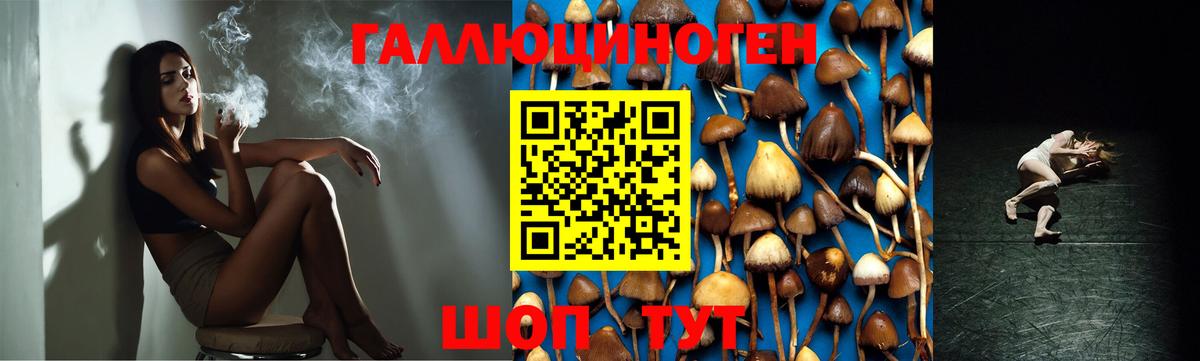 Мариинск  Галлюциногенные грибы прущие грибы  Вход с VPN 
